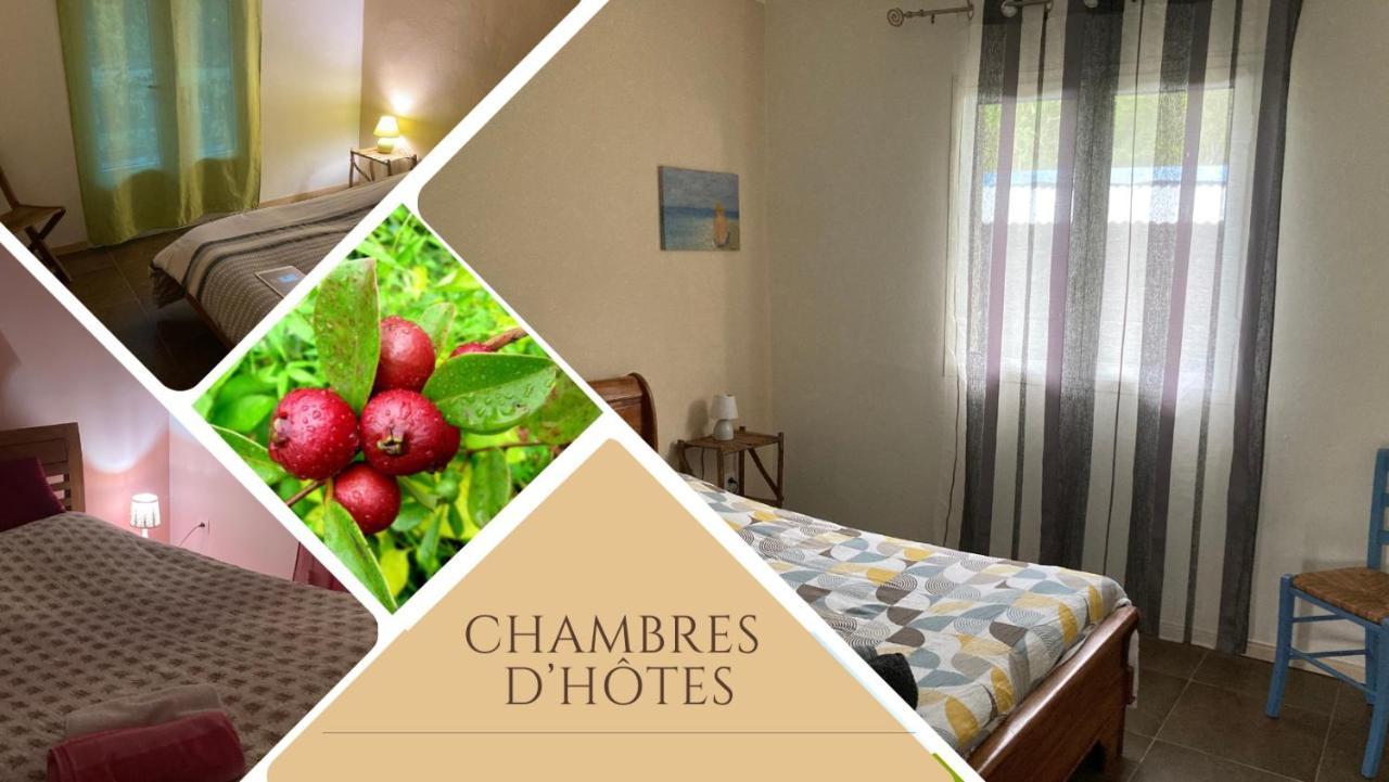Au Coeur De La Cascade Biberon Bed & Breakfast La Plaine des Palmistes Eksteriør bilde